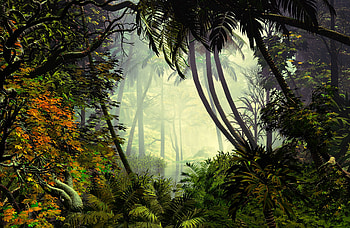 Trees, Art, Palms, Fog, Jungle HD wallpaper
