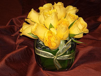 Sunny delight, sunny, crystal, roses, delight, vase, small, yellow, dozen, nature, flowers, deep red HD wallpaper