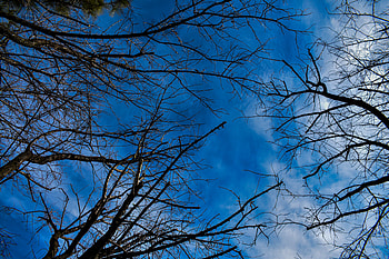 Blue sky HD wallpaper