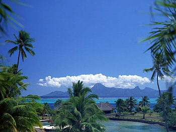 Nice Resort , sea, nature HD wallpaper