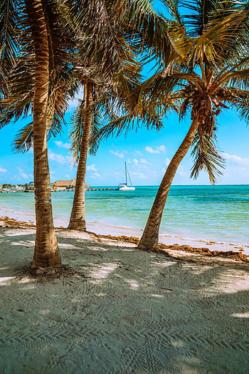 Best Belize SIM card, Tourist essential, Prepaid plan, Hassle- communication HD phone wallpaper