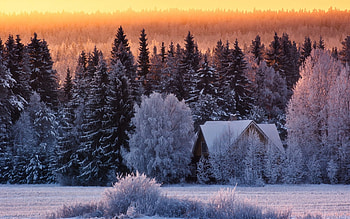 Winter, beautiful, nature, amazing HD wallpaper