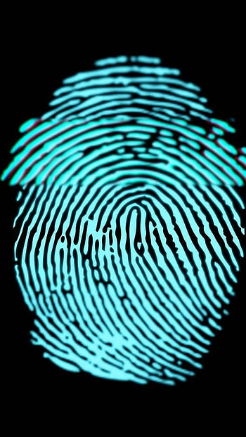 Fingerprint, Thumb Print, Scan HD phone wallpaper