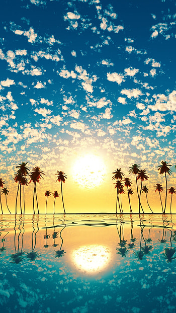Palm tree reflection, Sunset beauty, Tropical vibes, Nature's tranquility HD phone wallpaper