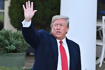 Donald Trump MAGA – Bold Leadership in Focus, Donald Trump, MAGA HD wallpaper