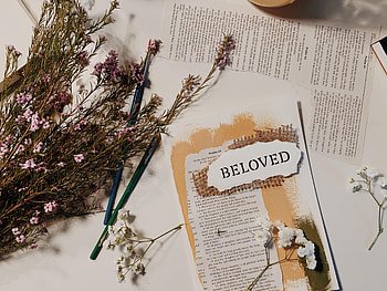 Flowers, Words, Inscription, Text, Word, Favorite, Beloved HD wallpaper