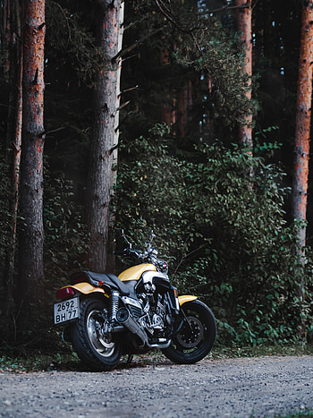 Trees, Motorcycles, Yamaha, Back View, Rear View, Motorcycle, Bike HD phone wallpaper