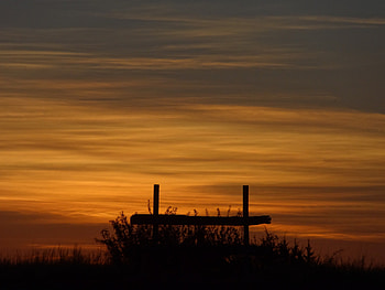 The Dawn, clouds, bushes, dawn, morning HD wallpaper