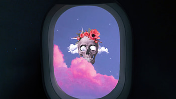 Skull from flight window, art HD wallpaper