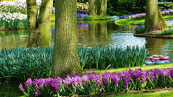 Holand park, lake, park, tree, flower HD wallpaper