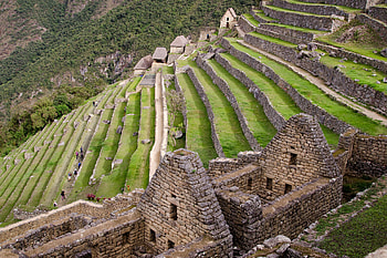 Machu Picchu Terraces, Peru, terraces, architecture, ancient, peru HD wallpaper