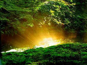 HIDDEN SUN, hills, trees, sky, sun, forest HD wallpaper