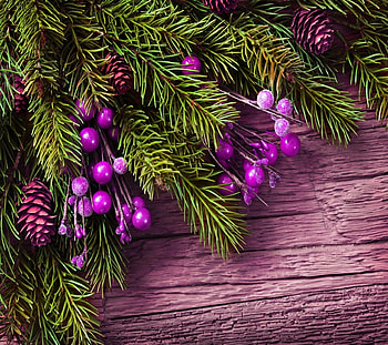 **Christmas branch**, branch, purple, decoration, christmas HD wallpaper