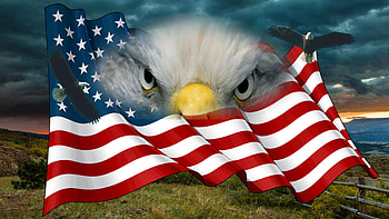 dom for All, American, eagle, USA, patriotic, 4th of July, flag, red white and blue, Firefox Persona theme, Veterans Day, Independence Day HD wallpaper