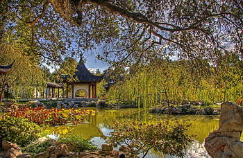 Nature, Wood, Tree, Branches, Branch, Pond, China, Bower, Alcove, Flora HD wallpaper