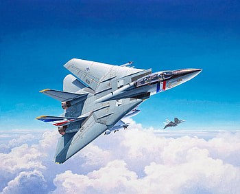Jet Fighter, Grumman F 14 Tomcat, Military, Aircraft, Warplane, Jet Fighters HD wallpaper