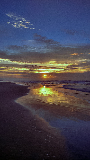 Praia, sol, ceu, nuvem, bird, ondas, aesthetics, dia, oceano HD phone wallpaper