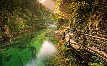 Triglav National Park, mountain river, forest, slovenian landmarks, beautiful nature, summer, mountains, Slovenia, Europe HD wallpaper