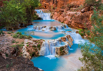 Beaver Falls, trees, waterfall, beaver, nature HD wallpaper