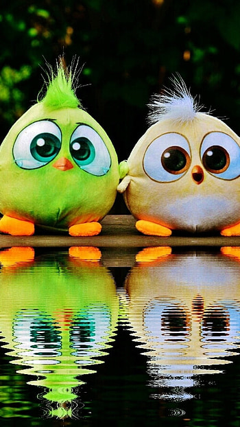 Angry Birds, Cute Birds, Reflection HD phone wallpaper