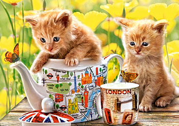 Tea Time, cute, Cats, Animal, Kitten HD wallpaper