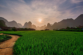 Nature, Grass, Sun, Hills, Scope, Spaciousness HD wallpaper