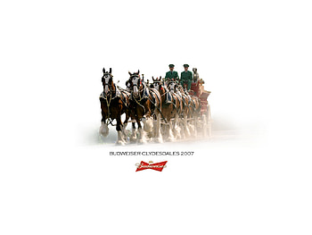 Budweiser, american, retro, horses, beer HD wallpaper