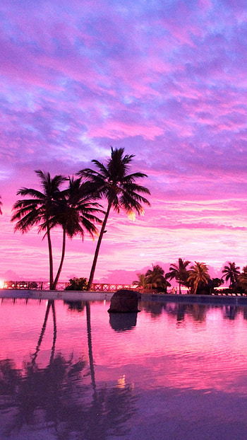 Sunset , Purple Beach Sunset HD phone wallpaper