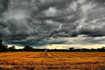 Moody, fields, sky, nature, storm HD wallpaper