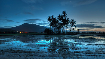 Blue Clouds Evening Landscapes Lights Malaysia Nature Palm Trees Sky Sunset Water HD wallpaper
