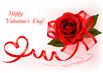 Happy Valentine's Day!, valentine, rose, white, red, card HD wallpaper