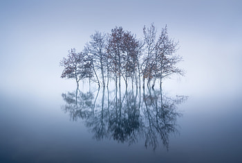 Serene Nature Reflection: Escape, nature, reflection HD wallpaper