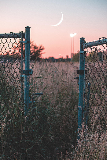 Nature, Sunset, Grass, Moon, Grid, Fence HD phone wallpaper