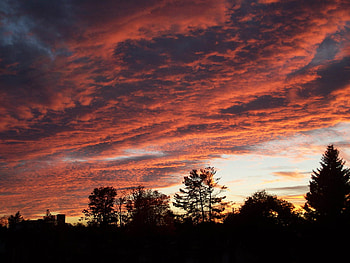 sailors delight, red, clouds, trees, sky, firely, dark HD wallpaper