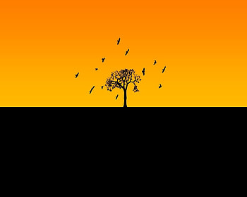 Horizon, black, birds, yellow, tree HD wallpaper