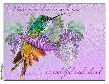 WONDERFUL NEW WEEK, COMMENT, WEEK, CARD, WONDERFUL HD wallpaper
