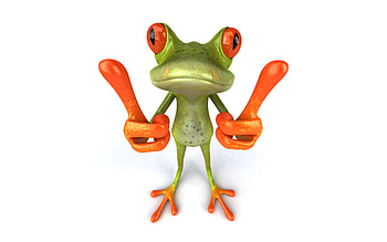 Funny, Animals, Frogs HD wallpaper
