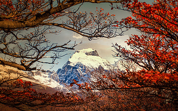 Japan, autumn, mountains, beautiful nature, mountain peaks, Asia HD wallpaper
