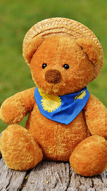 Teddy Bear Ke, Garden Background HD phone wallpaper