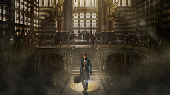 Fantastic, PC , Eddie Redmayne, background HD wallpaper