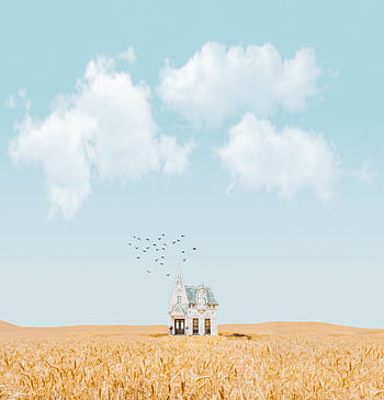 A white house isolated in a golden wheat field, with a vibrant blue sky and fluffy clouds above. HD phone wallpaper