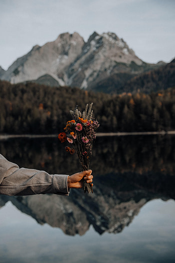 Landscape, Flowers, Reflection, Hand, Miscellanea, Miscellaneous, Bouquet HD phone wallpaper