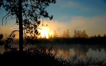 Nature, Sunset, Wood, Tree, Evening, Handsomely, It's Beautiful HD wallpaper