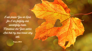 Fearfully and Wonderfully Made, religious, bible HD wallpaper