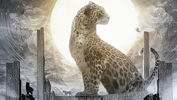 Cheetha Non Fungible, cheetah, artist, artwork, digital-art HD wallpaper