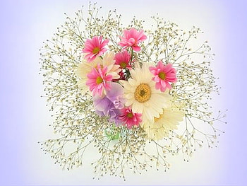 Gift of spring, purple, pink, white, bouquet, flowers, spring HD wallpaper