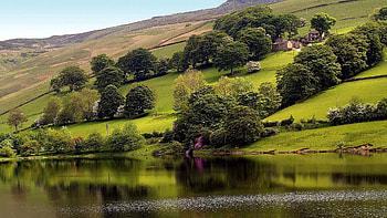 Nature, Houses, Trees, Grass, Lake, Greens, Slope HD wallpaper
