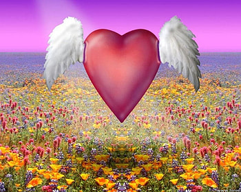 True love, hearts, love HD wallpaper