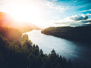 River current, nature, forest, flow HD wallpaper