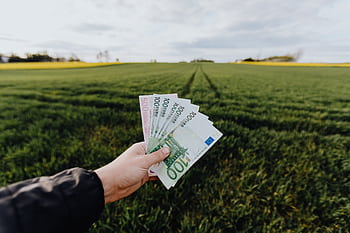 Hand holding euro banknotes against a lush green rural field, symbolizing financial growth. HD wallpaper